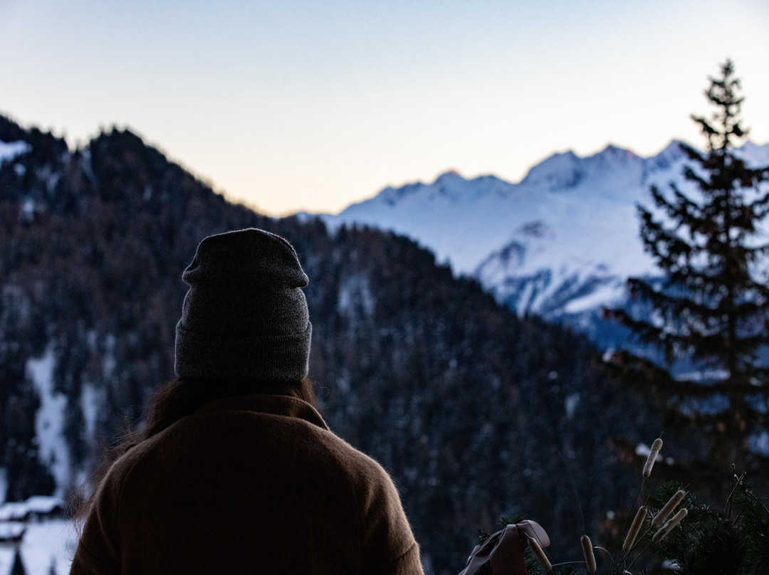 Hotel Waldhaus主图