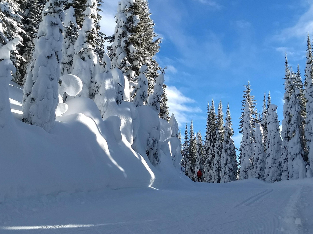 Silver Star Bed & Breakfast主图