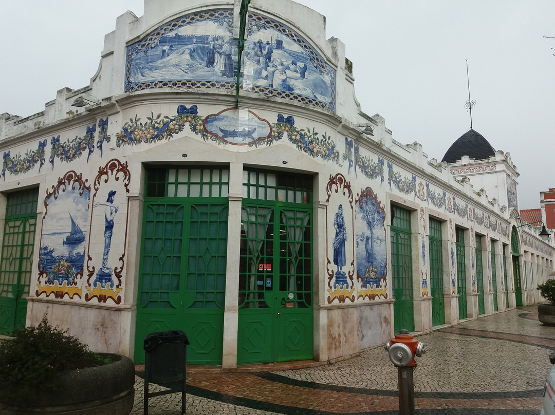 Mercado Municipal Vila Franca De Xira景点图片