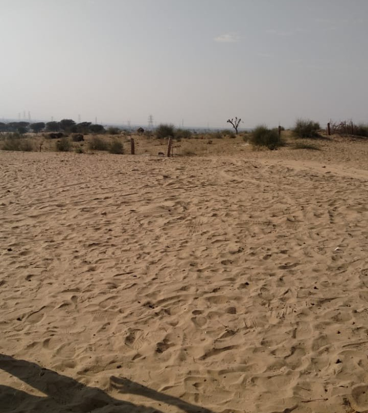 Wild Desert Resort主图