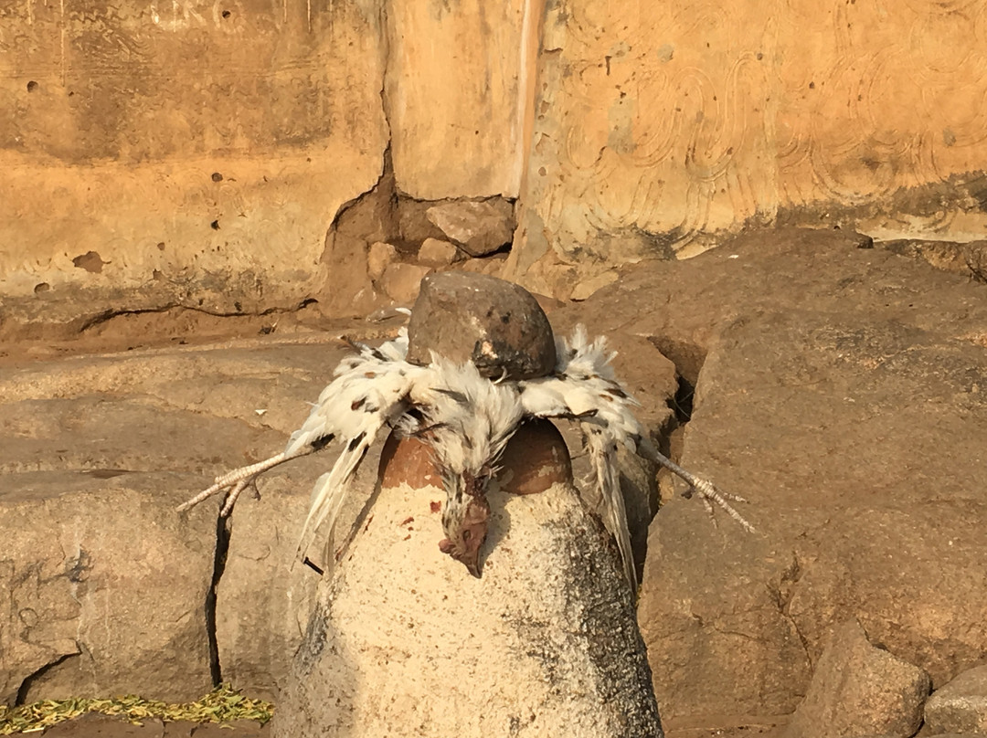 Tongo Hills-博尔加坦加必去景点