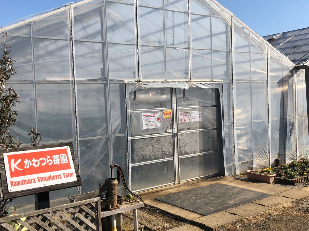Kawatsura Strawberry Farm-山武市必去景点