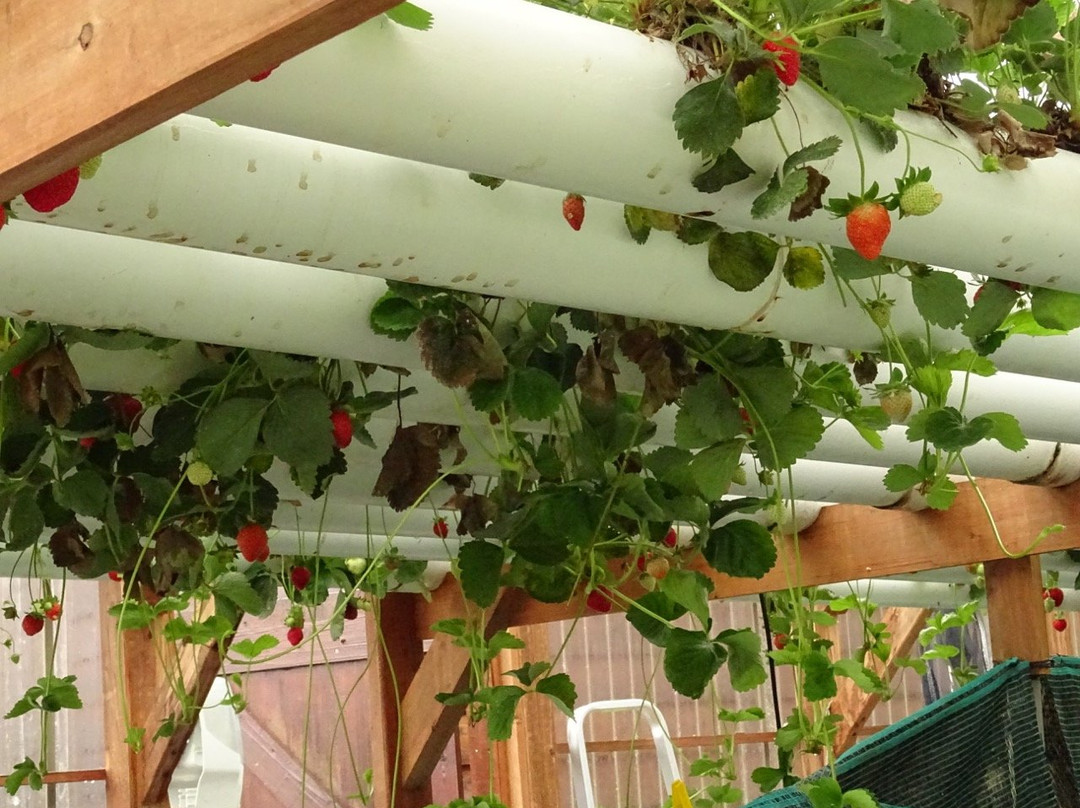 La Miellerie de Marla主图