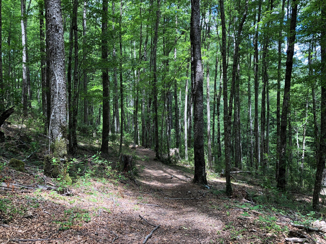 Pocolpén Aventura-Curarrehue必去景点