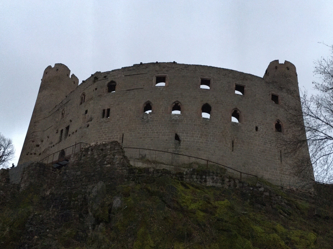 Château d'Andlau景点图片