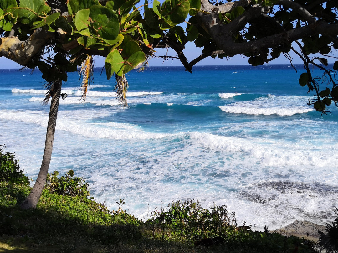 Casa del Mar Lodge主图