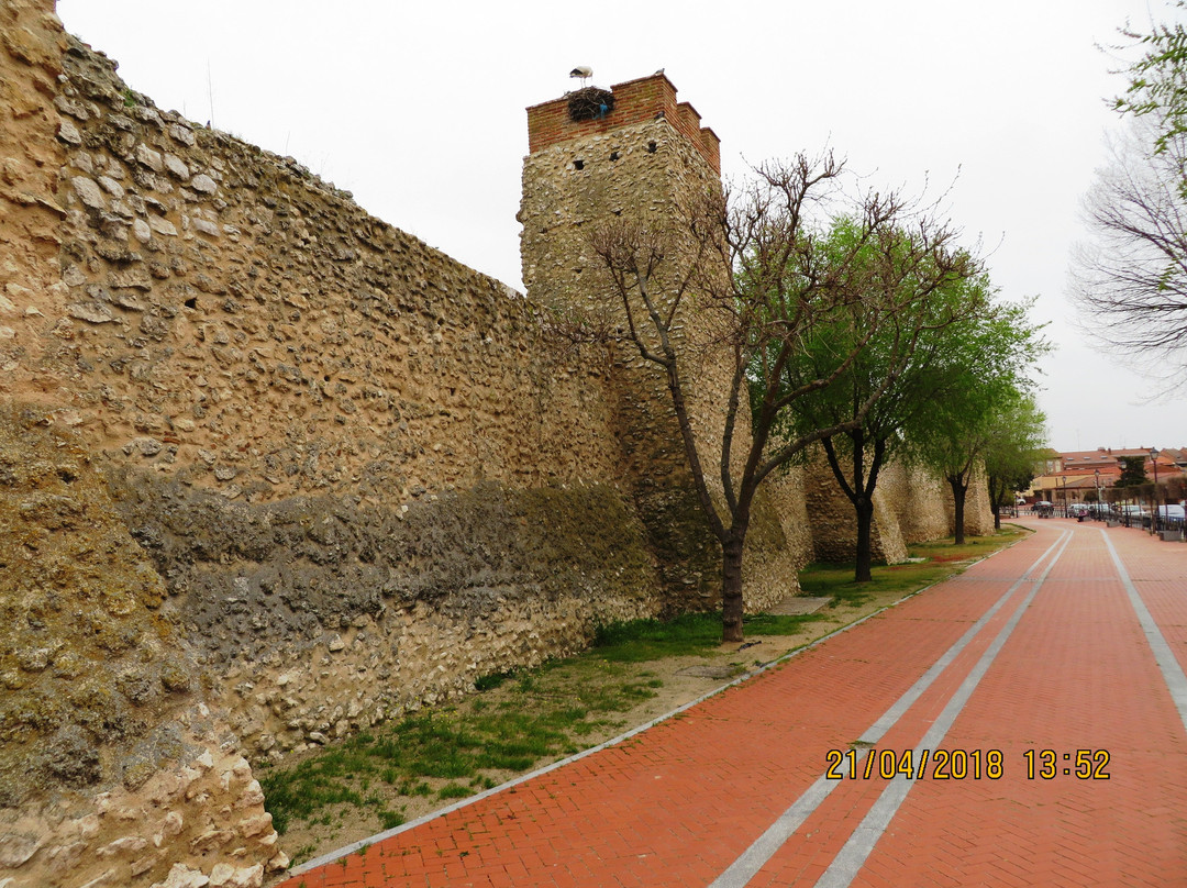 Muralla de Olmeda景点图片