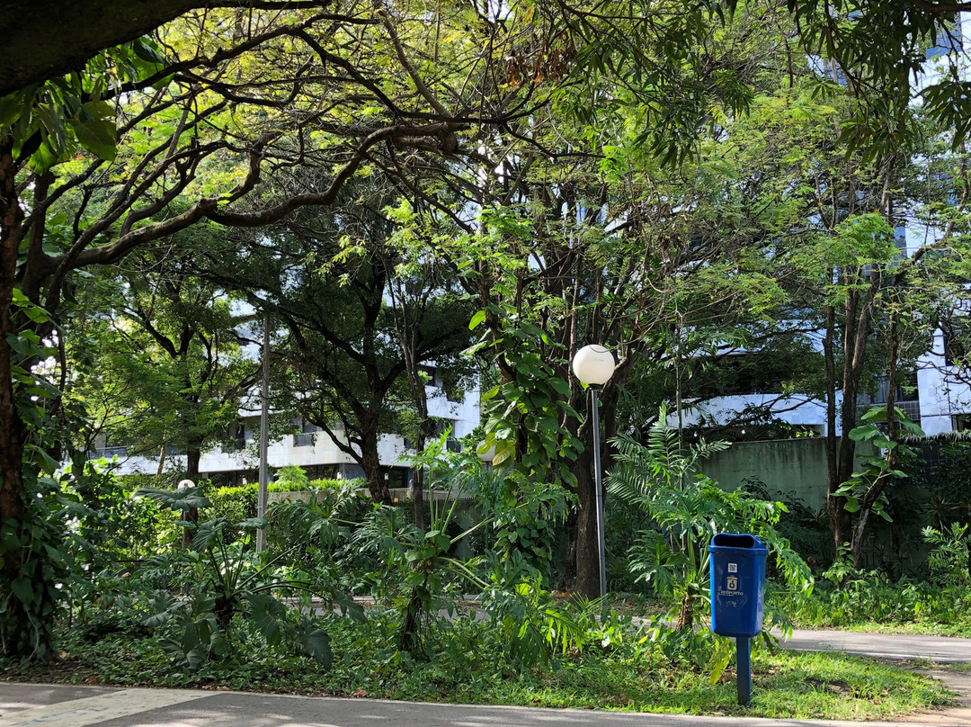 Parque da Jaqueira-累西腓必去景点
