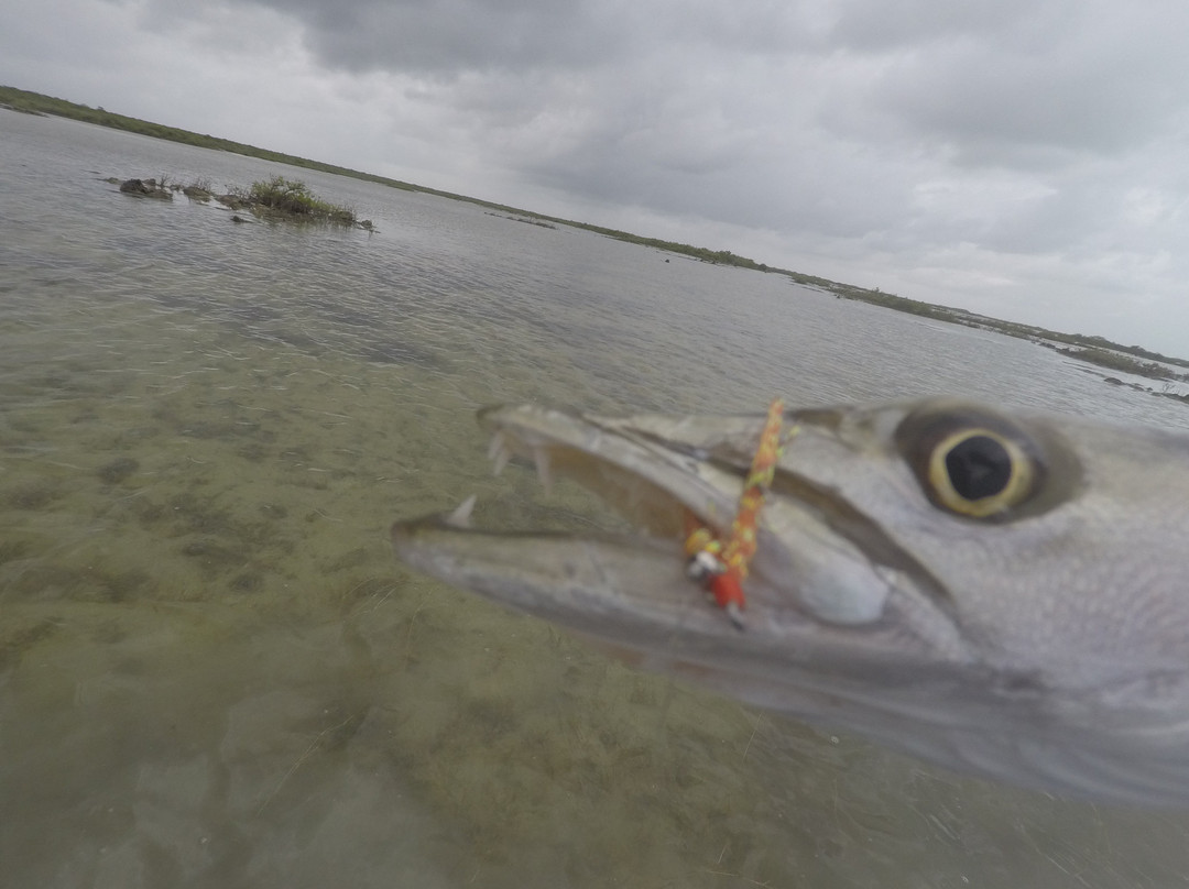 Aquarius Fishing-考祖梅必去景点