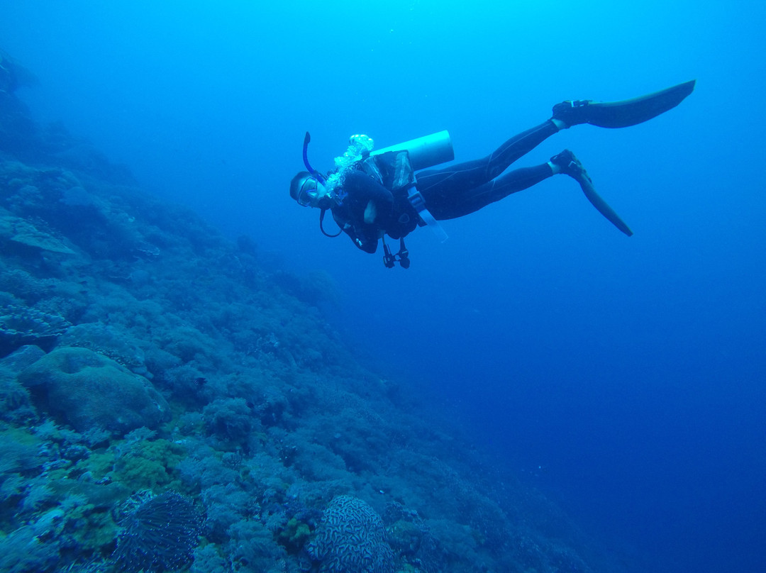 潜水度假村主图