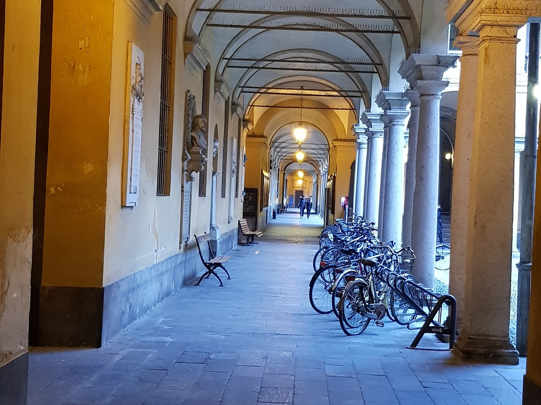 Pavia University History Museum景点图片