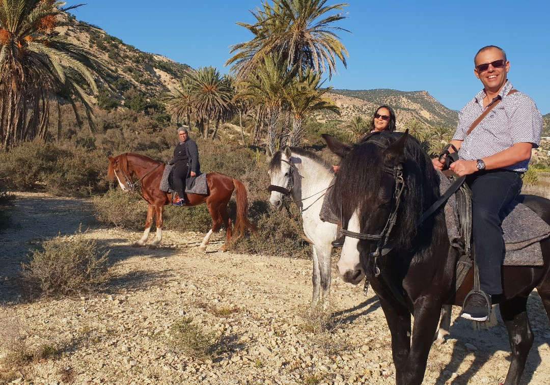 Cheval Agadir Ranch Acienda景点图片
