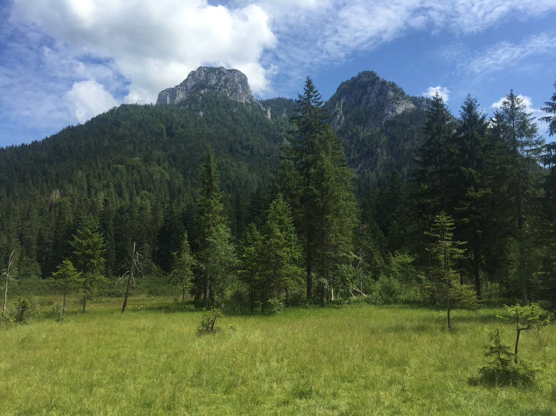 Langerbauer-Alm