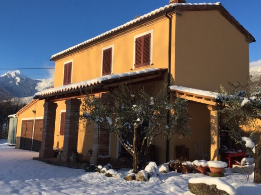 B&B Amici Country主图