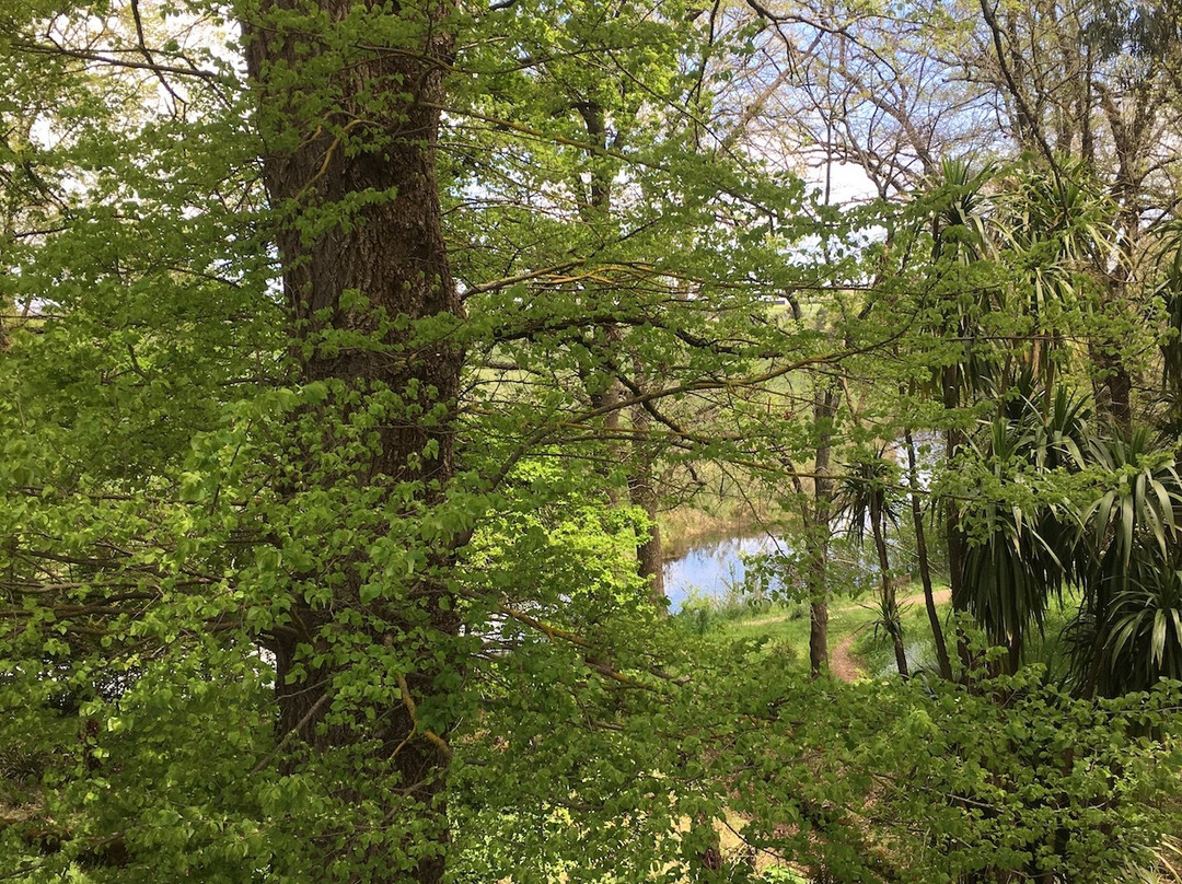 Cregan Creative-凯尼顿必去景点