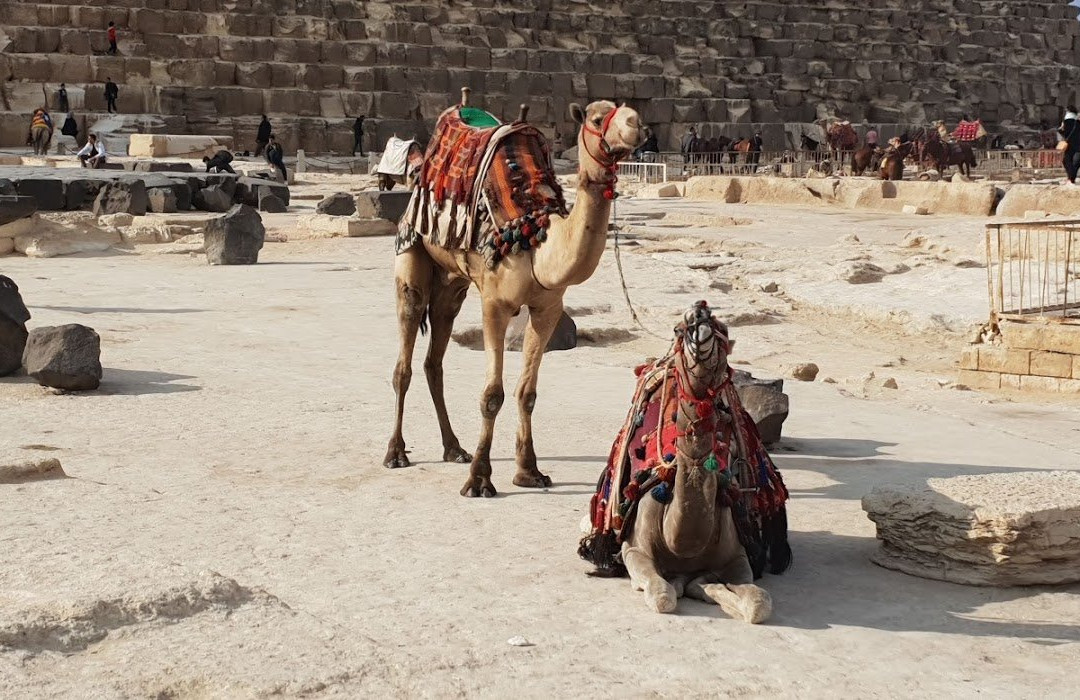 Zakharious Tours-赫尔格达必去景点