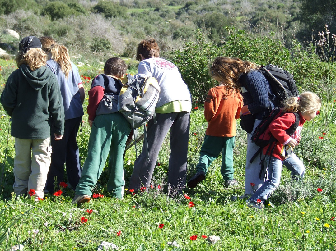 TrailHead-Tsafririm必去景点
