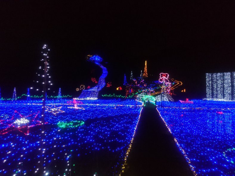 Ichihara Quard's Forest-市原市必去景点