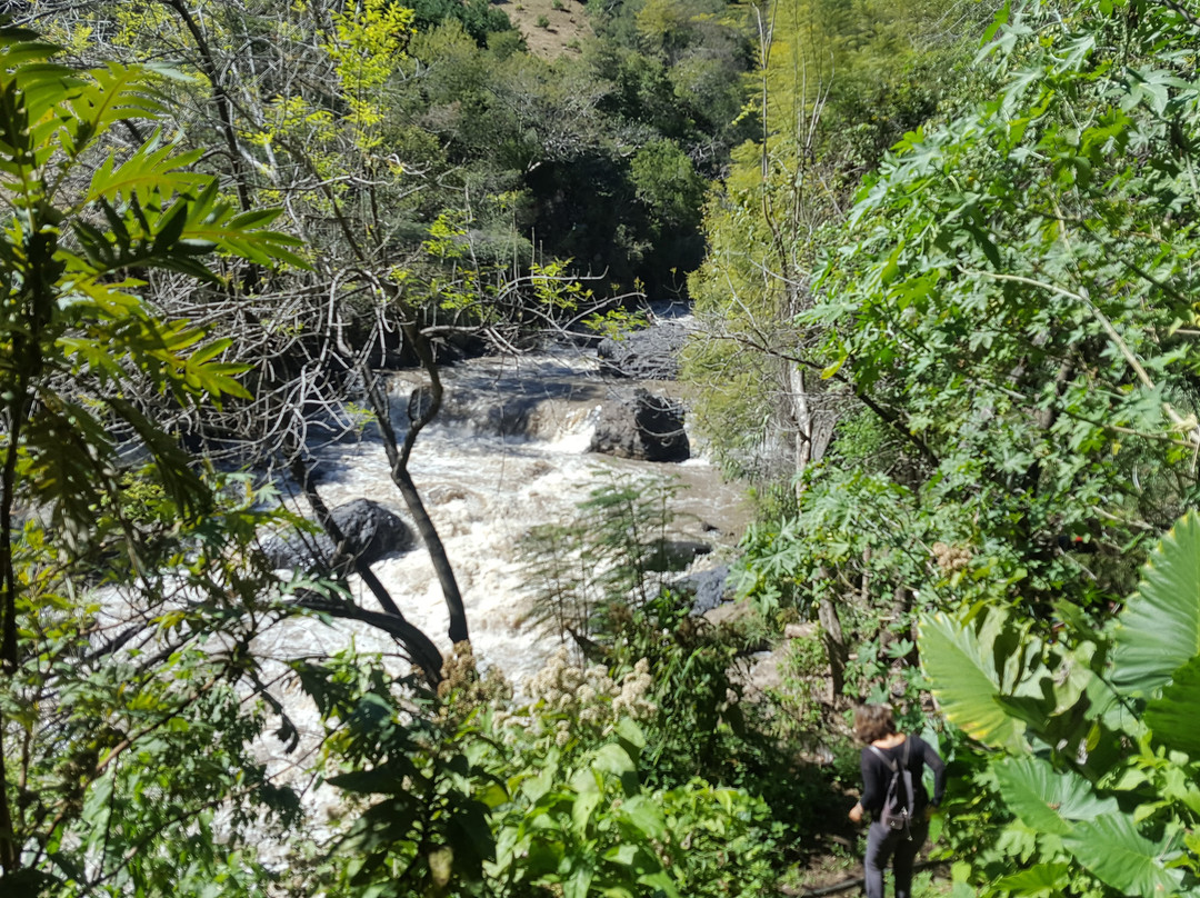 Hotel Agua Blanca主图