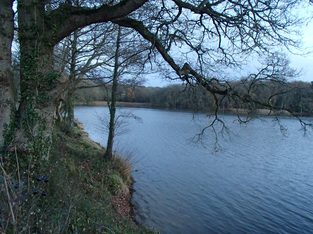 Chard Reservoir-Chard必去景点