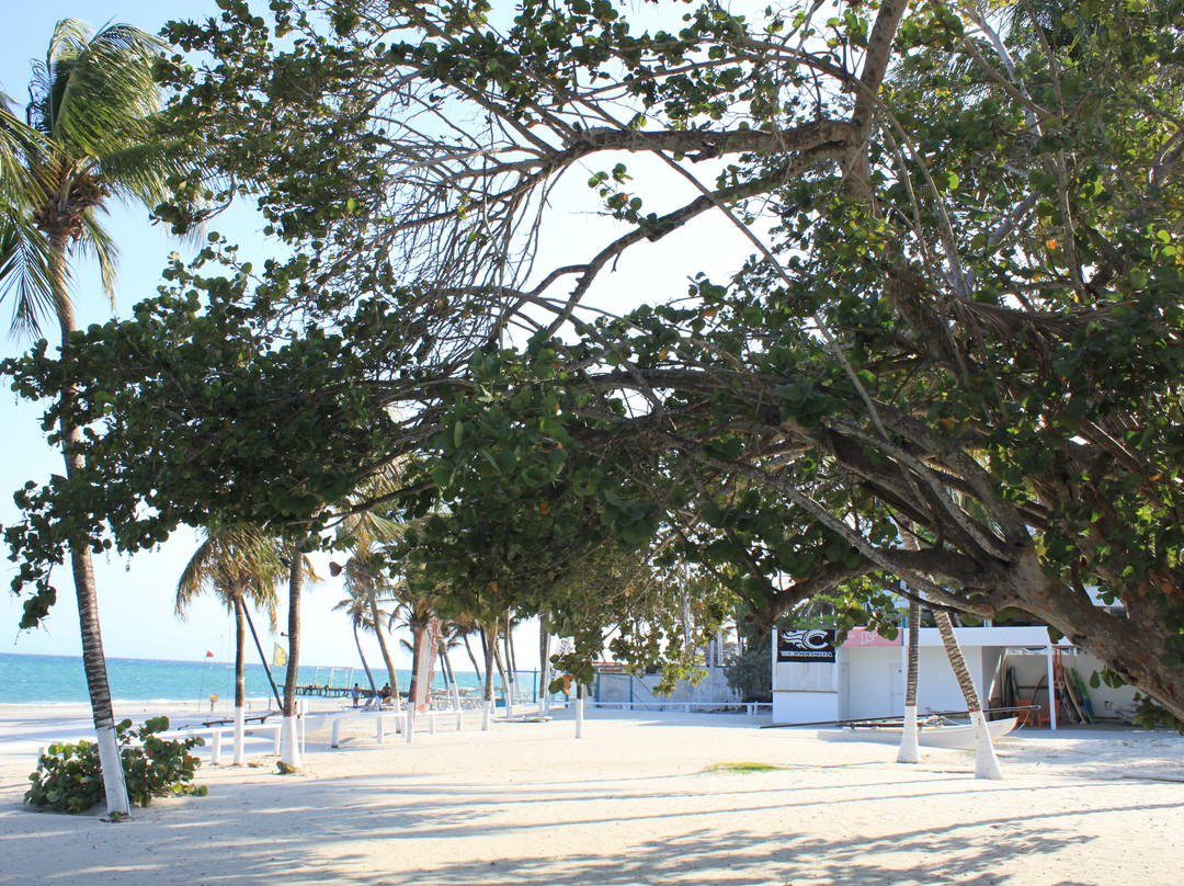 Hotel Paradise Oasis主图