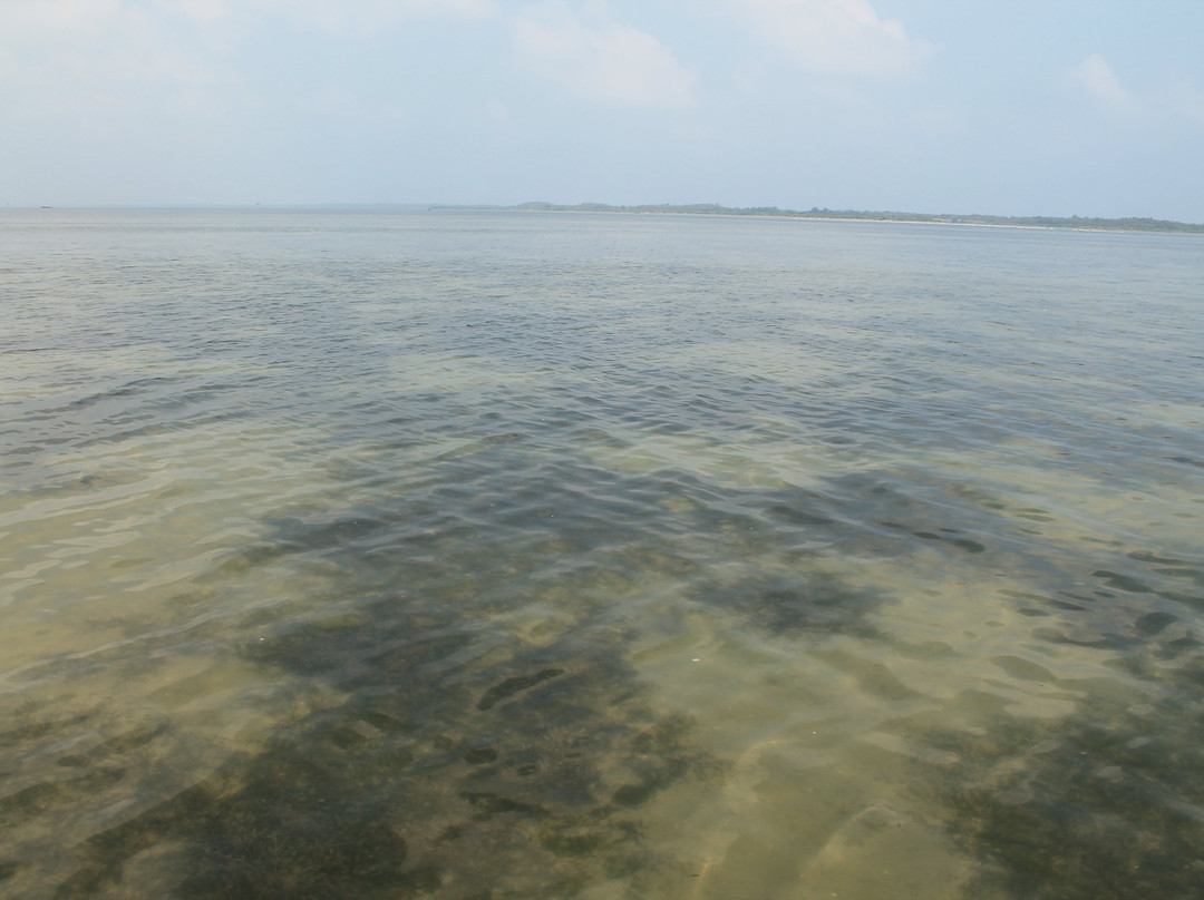 Pulicat Lake景点图片