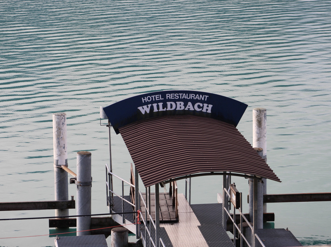 Hotel Wildbach主图