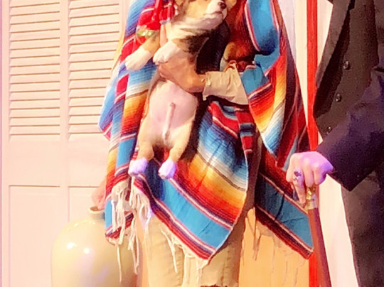 Be Theatre-圣安吉洛必去景点