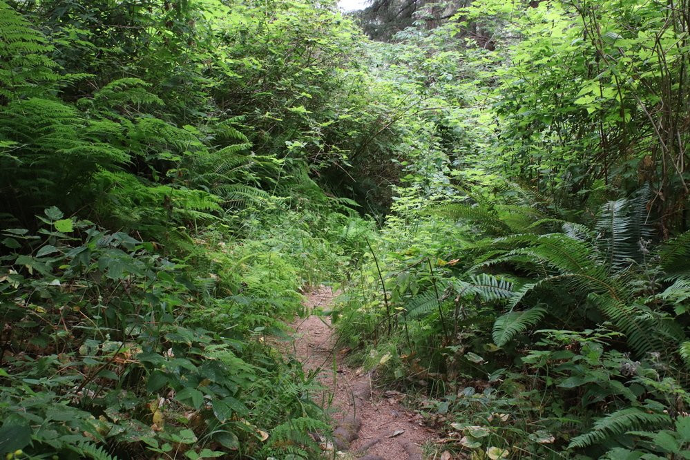 Klamath River-克拉马斯必去景点