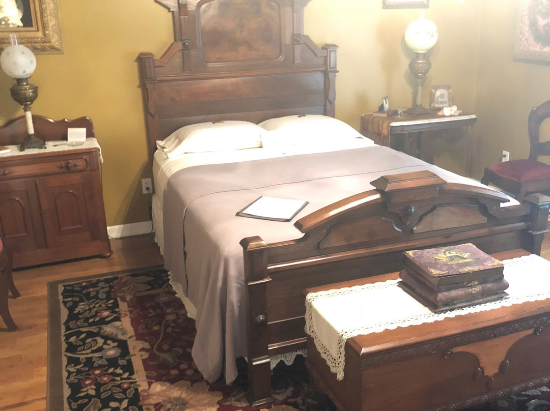 The Victorian Lady主图