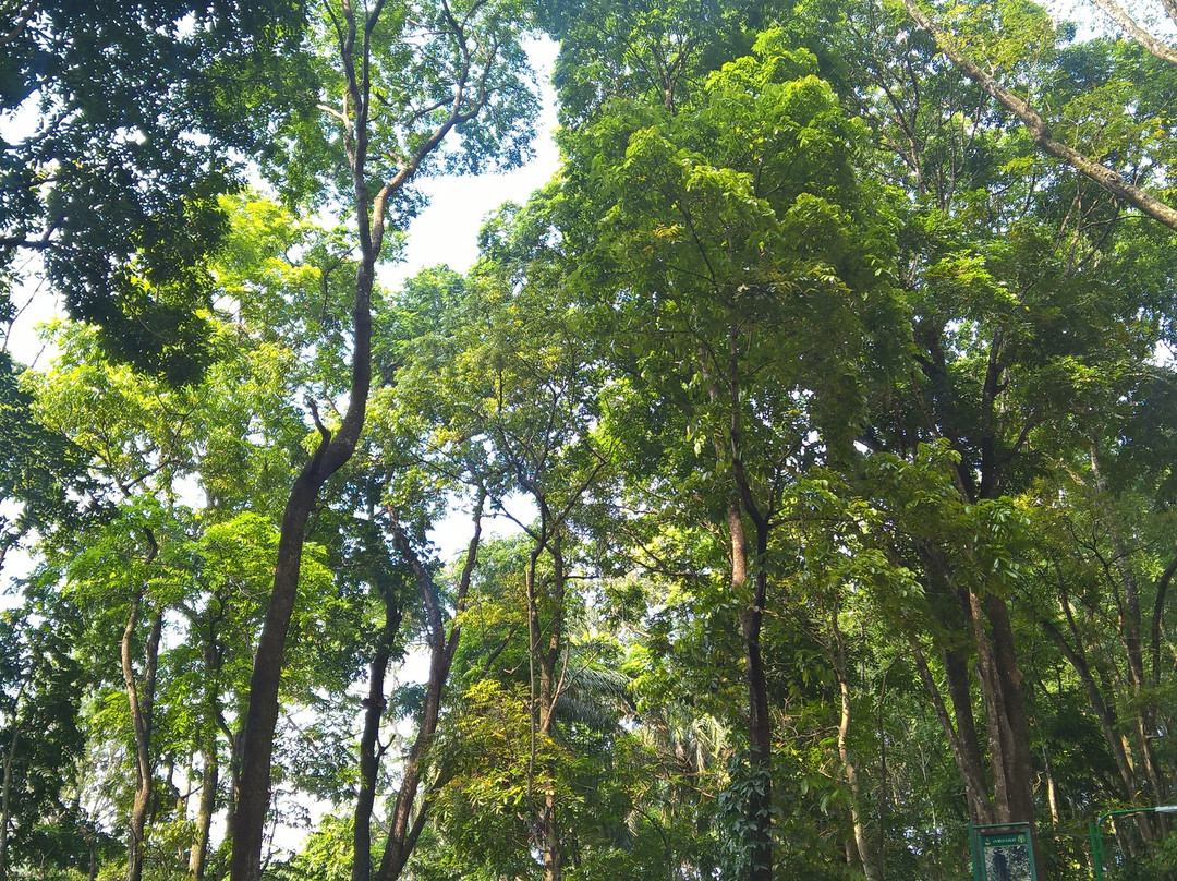 Forest Park Conservation Area Tahura Ir. H. Juanda景点图片