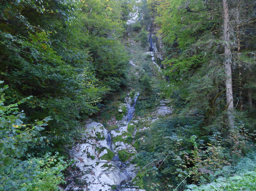 Via ferrata de la cascade des Nants景点图片