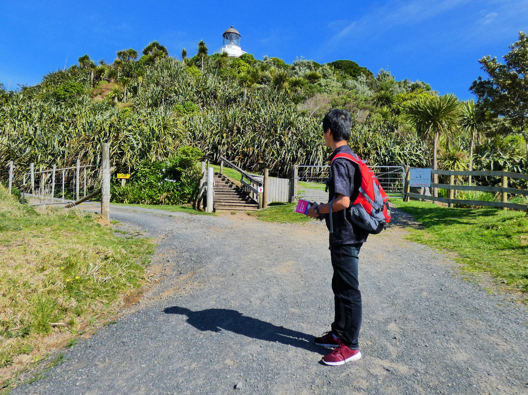 Manukau Heads Lighthouse景点图片