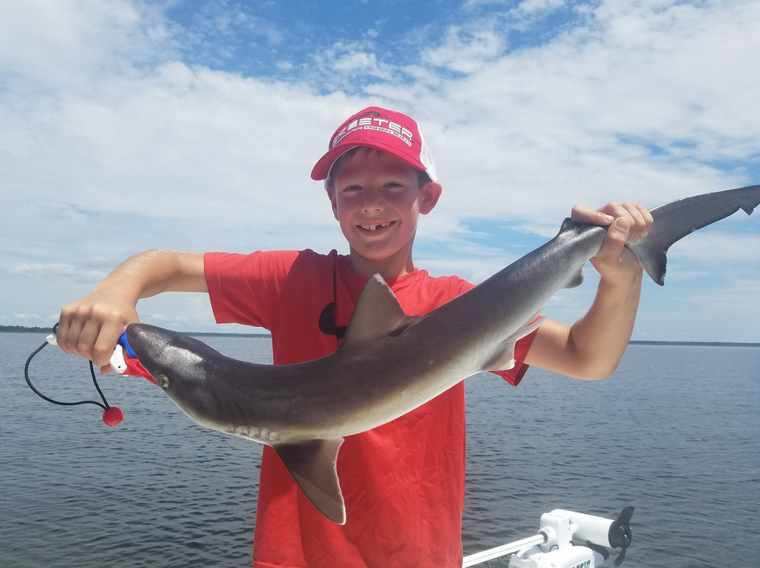 St Marks Outfitters-Saint Marks必去景点