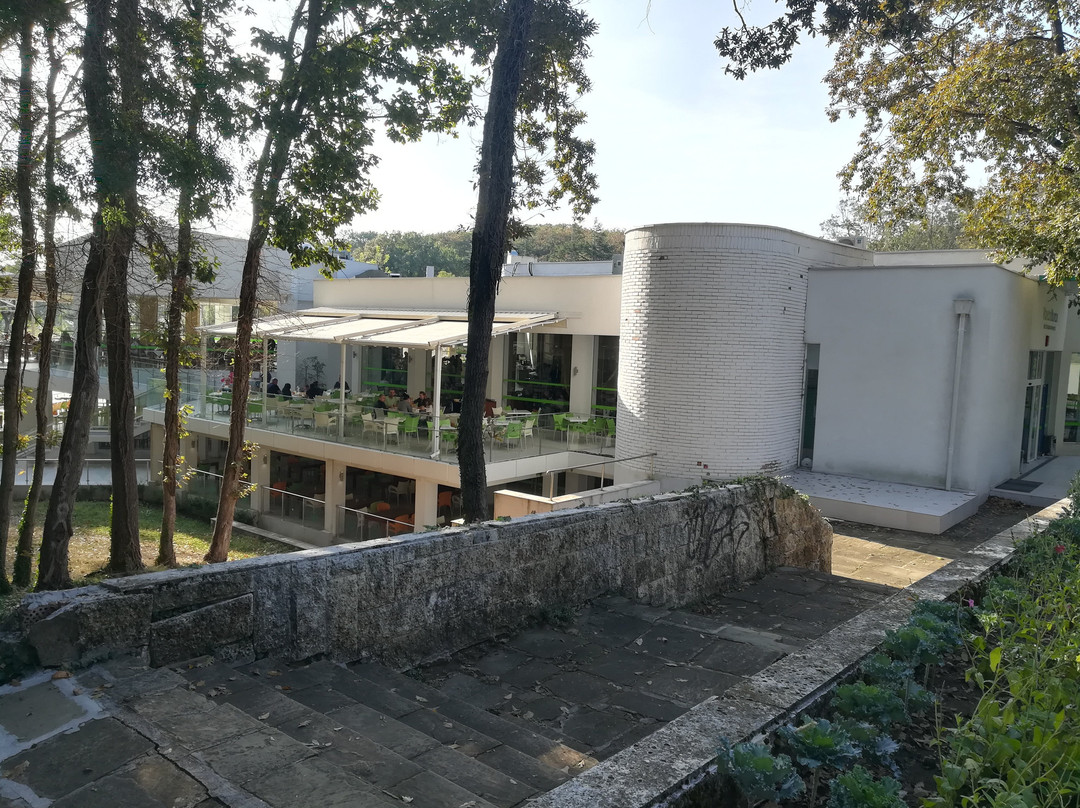 Hotel Forest Beach主图