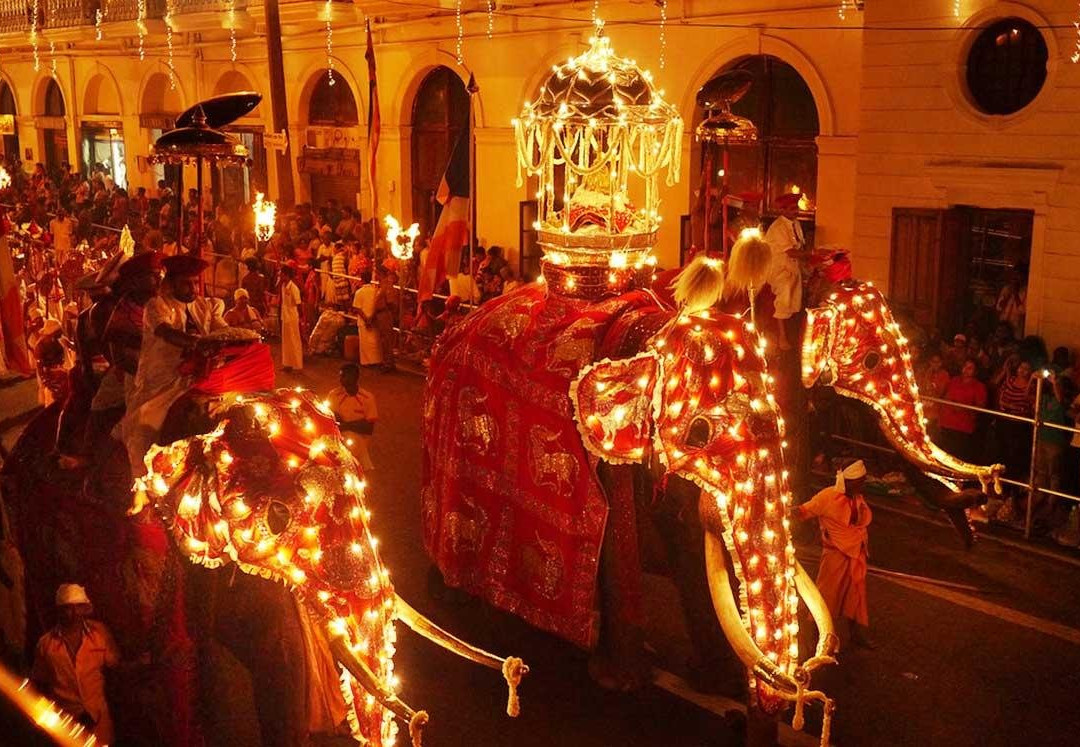 Sri Lanka Tours and Travels – Best Tour Packages | Ceylon Trip Deals景点图片