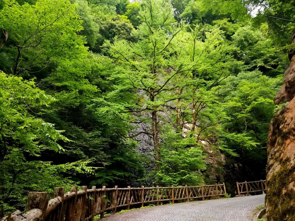 Ryusogadaki Falls景点图片