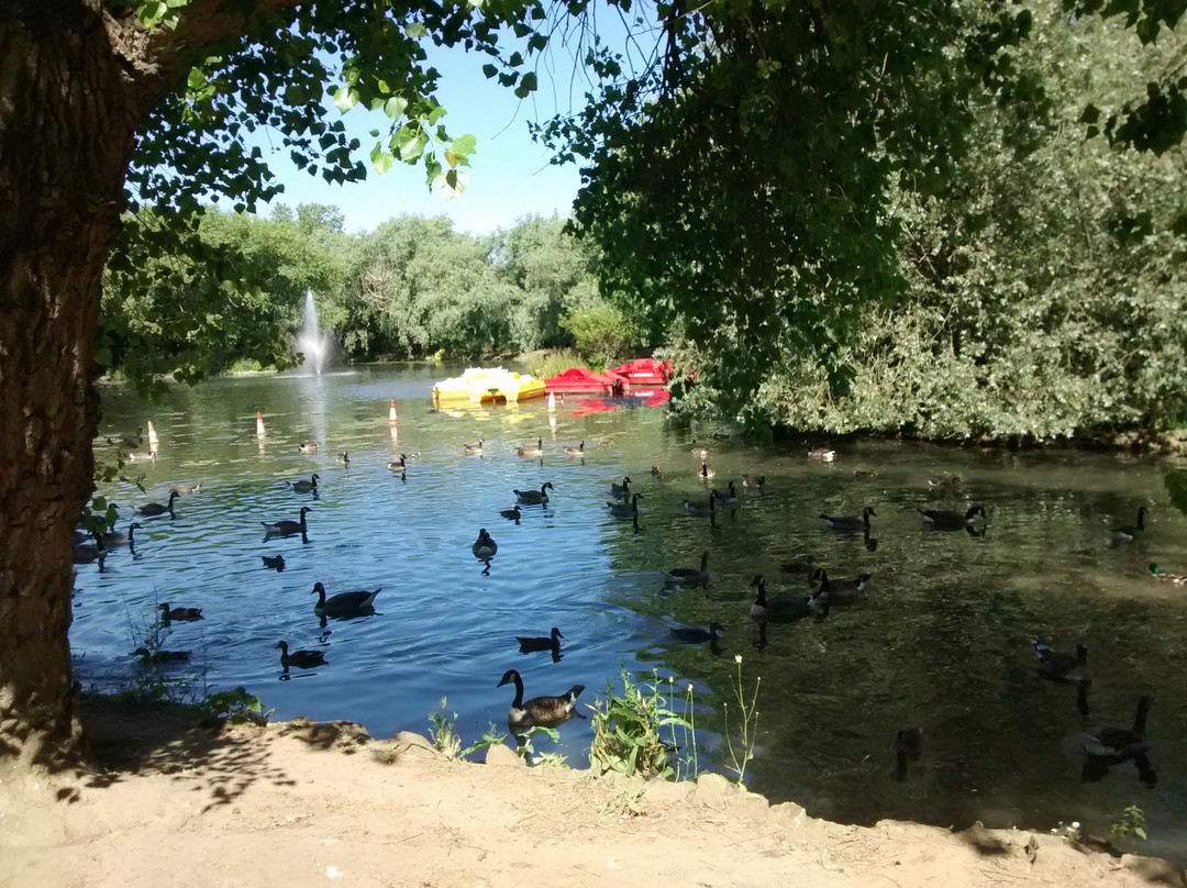 Locke Park-Redcar必去景点