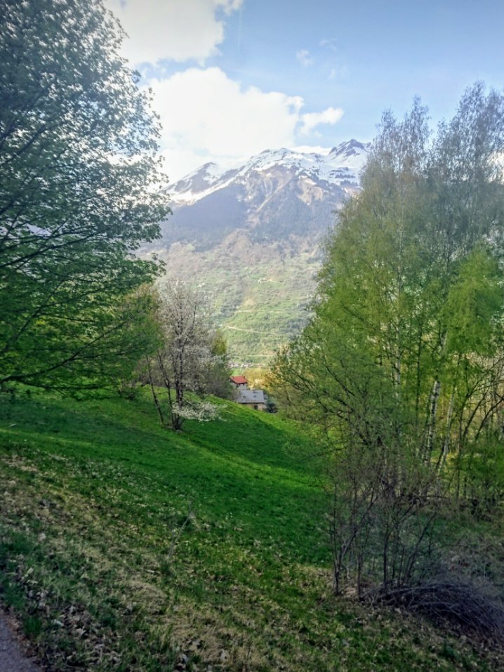 Sharples Guest House-官方