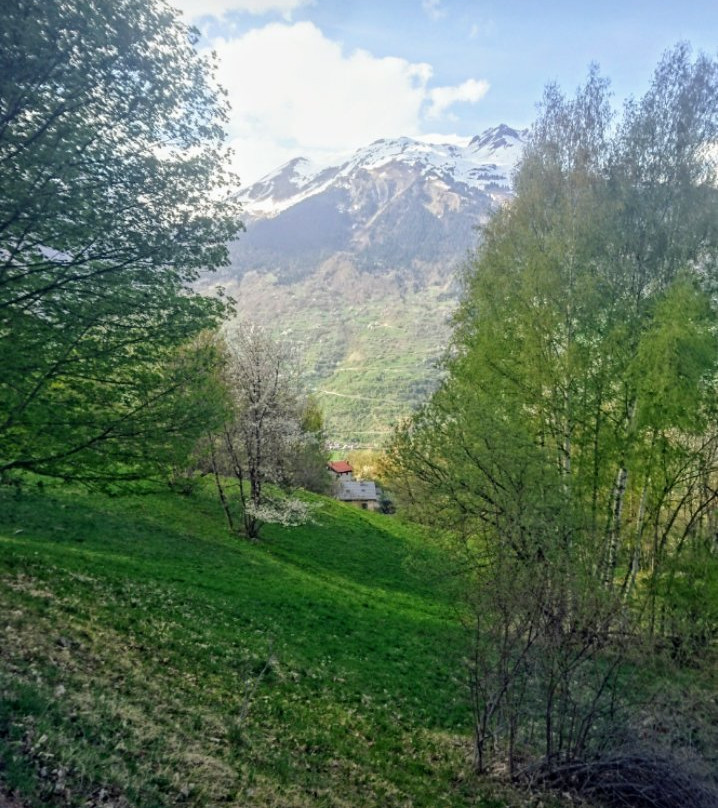 Sharples Guest House主图