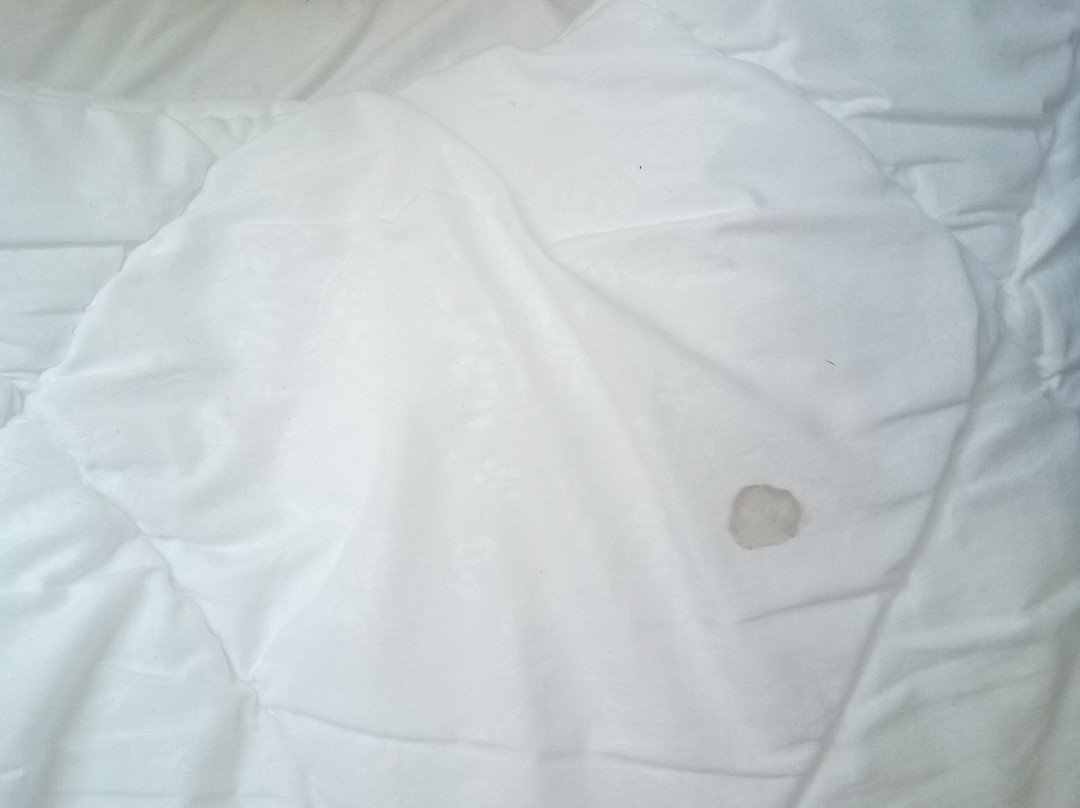 Villa Casteria主图