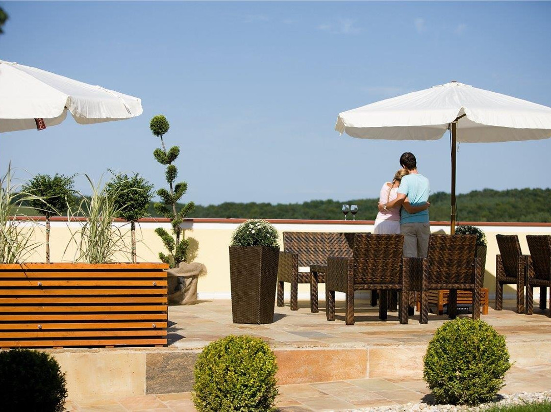 Hotel Panoramahof Loipersdorf主图
