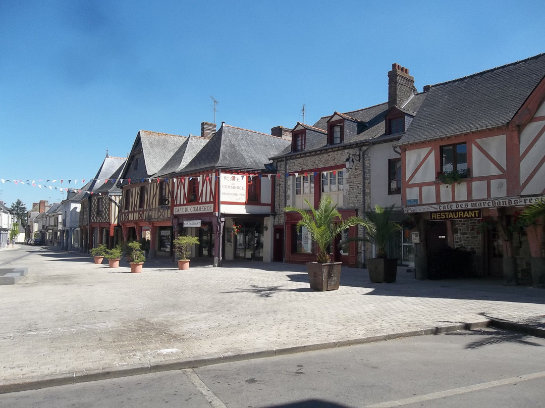 La Guerche-de-Bretagne旅游攻略图片
