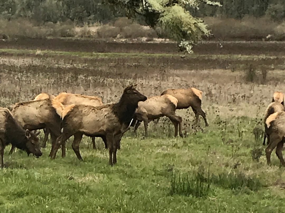 Visit McMinnville-麦克明维尔必去景点