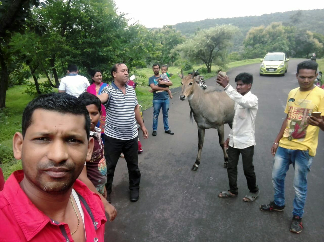 Gautala Autramghat Sanctuary景点图片