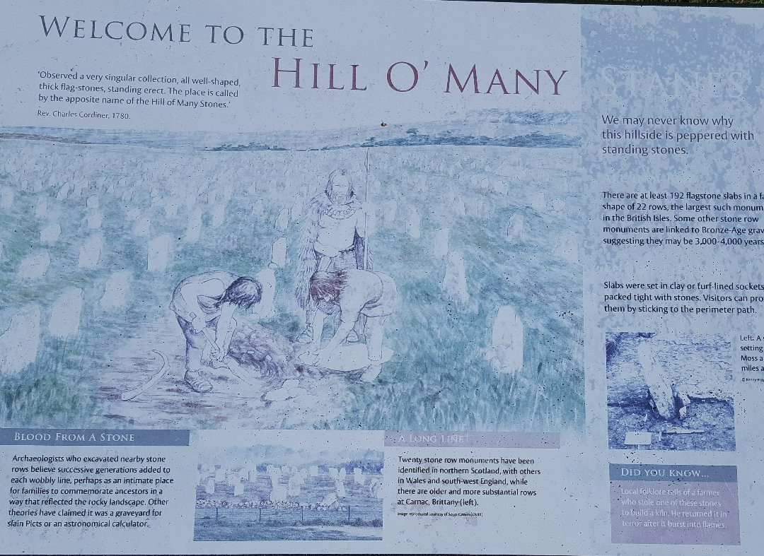 Hill O' Many Stanes景点图片