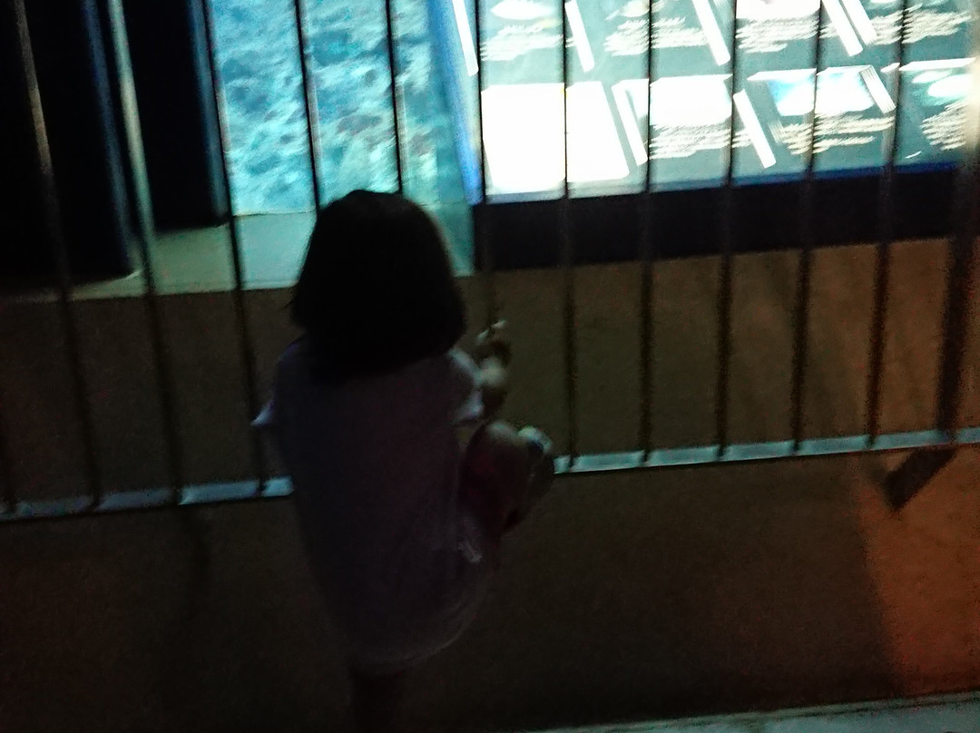 Kochi Prefectural Ashizuri Kaiyokan Aquarium-土佐清水市必去景点