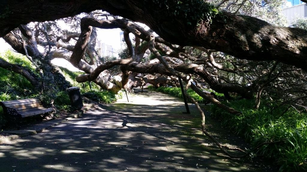 Emily Place Reserve-奥克兰中心地区必去景点