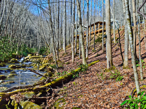 猫头鹰的栖息地（需要5英寸间隙）主图