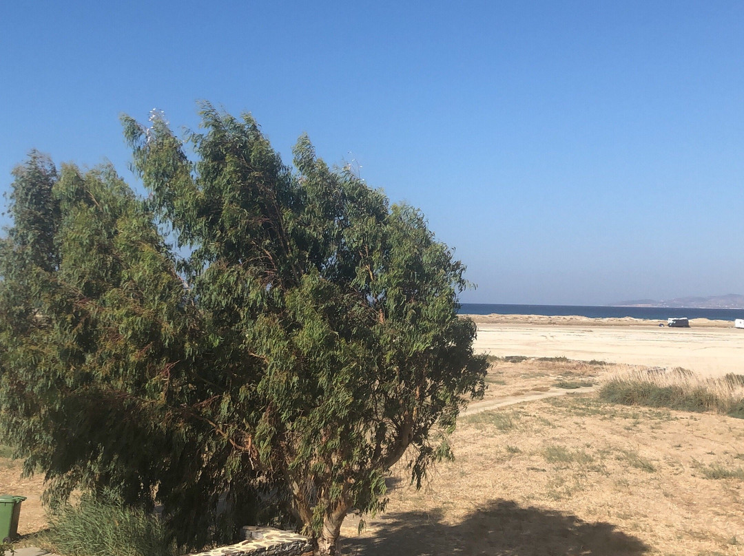 Lianos Studios主图